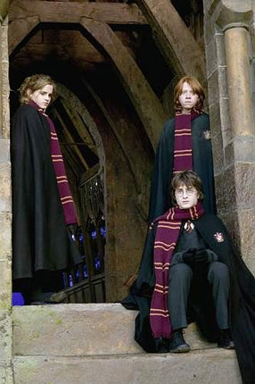 Gryffindor Harry Potter Tørklæde 190 cm